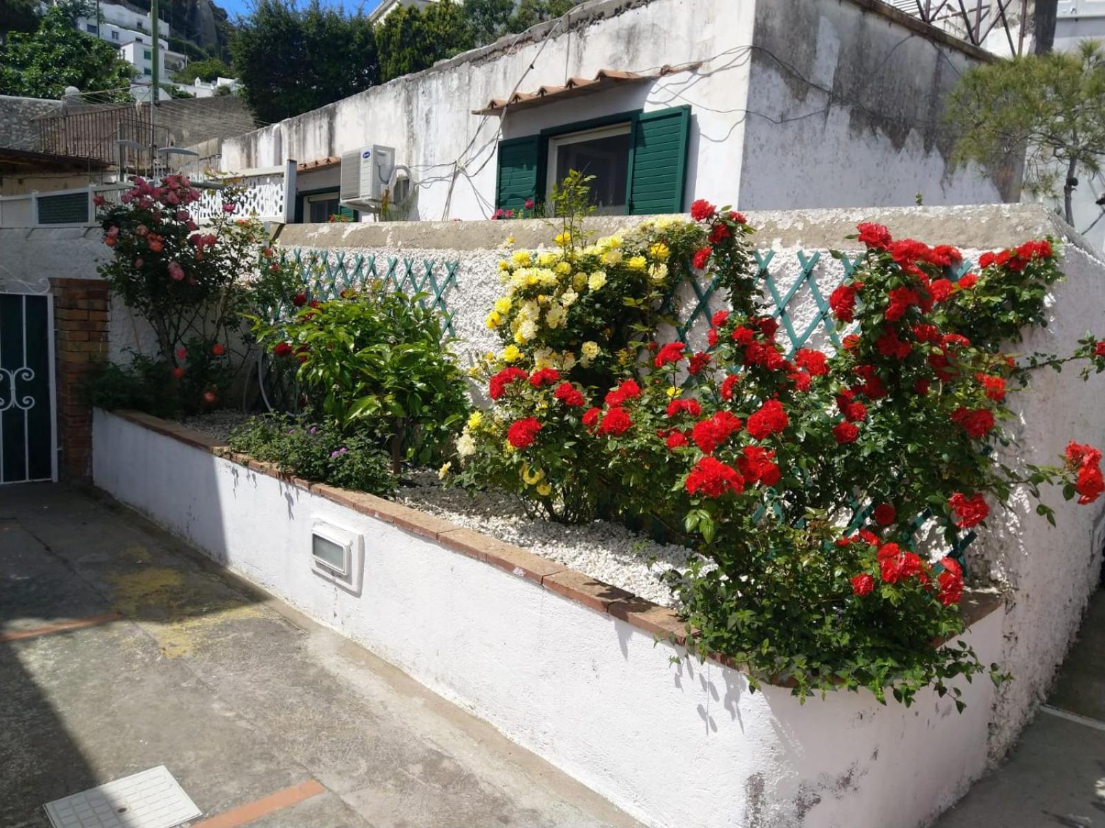 Willa La Marocella Capri Zewnętrze zdjęcie
