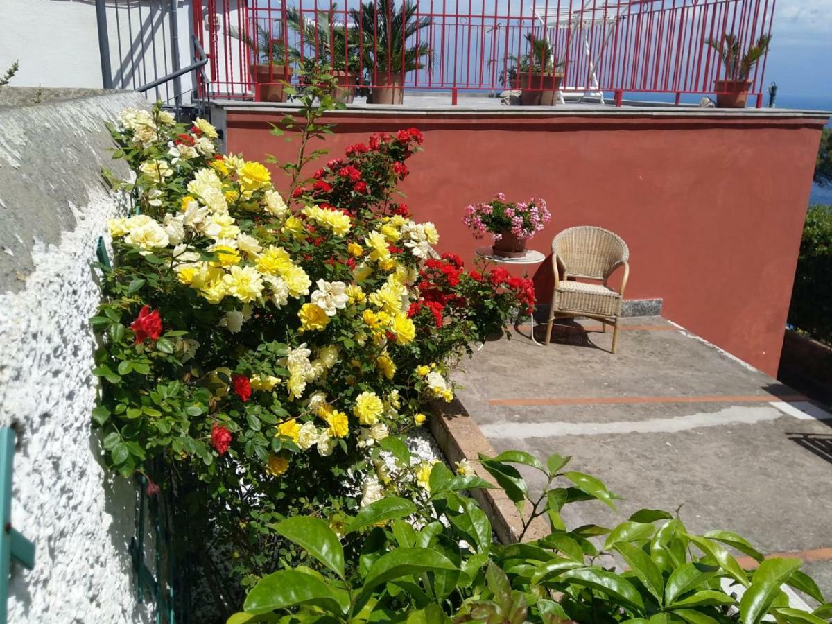 Willa La Marocella Capri Zewnętrze zdjęcie