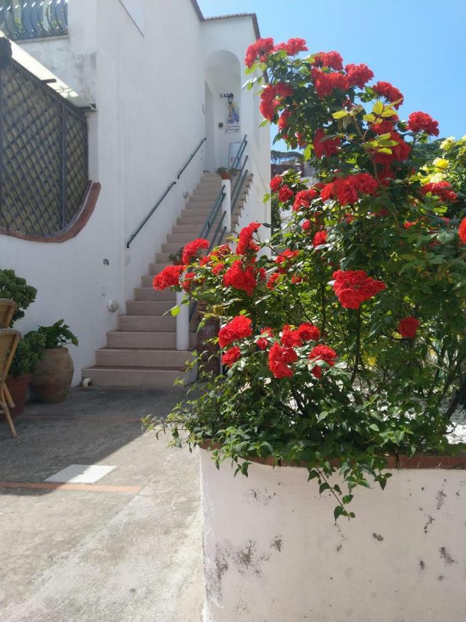 Willa La Marocella Capri Zewnętrze zdjęcie